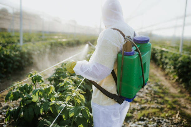 Best Affordable Pest Control Services  in Wallburg, NC